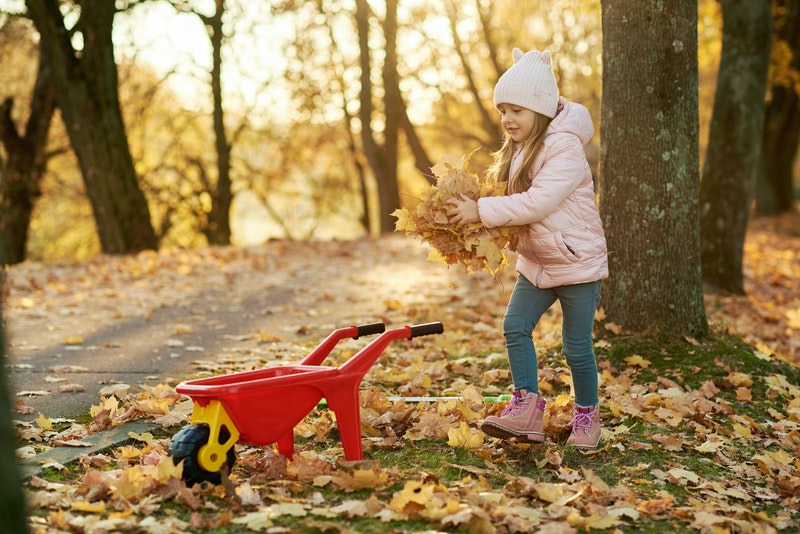 little girl cleaning up leaves fall foliage